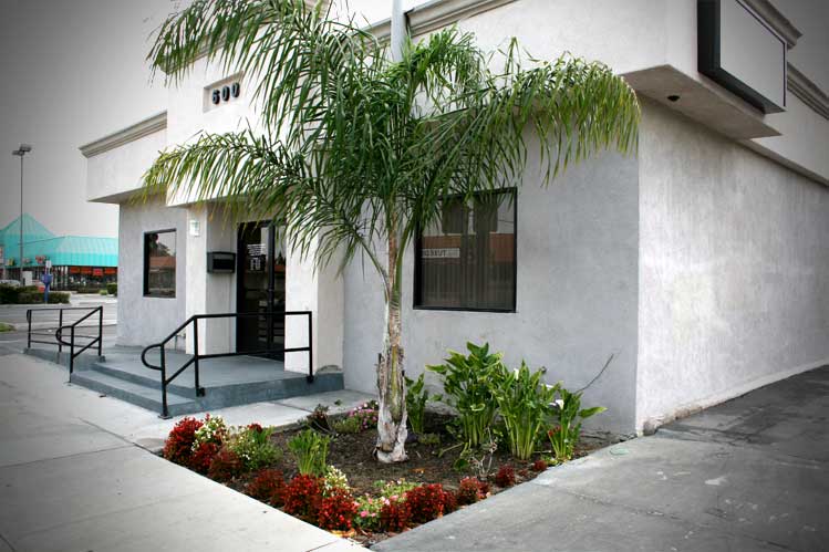 A dentist office building with white exterior, a palm tree and a small garden in front